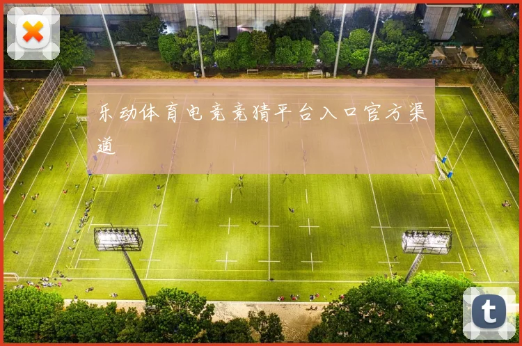乐动体育电竞竞猜平台入口官方渠道