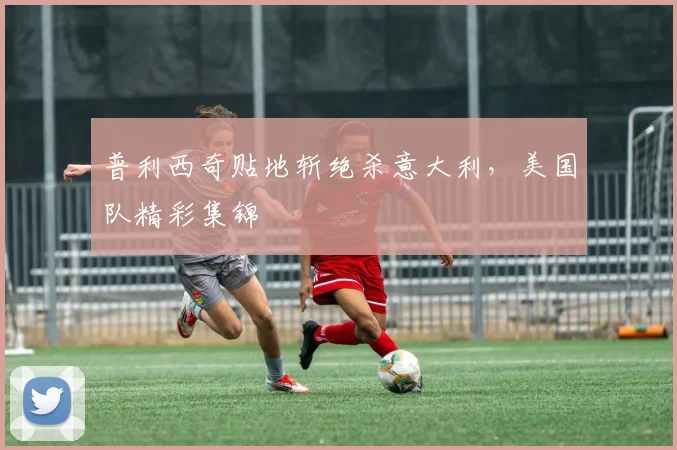 普利西奇贴地斩绝杀意大利，美国队精彩集锦